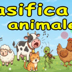Clasifica los animales – Genial juego con colores para niños 🐶🐸🐱